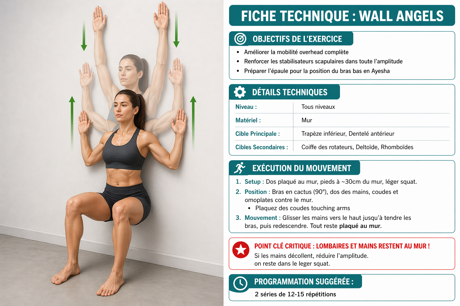 Exercice de wall slides du programme gratuit de prévention des épaules pour pole dancers